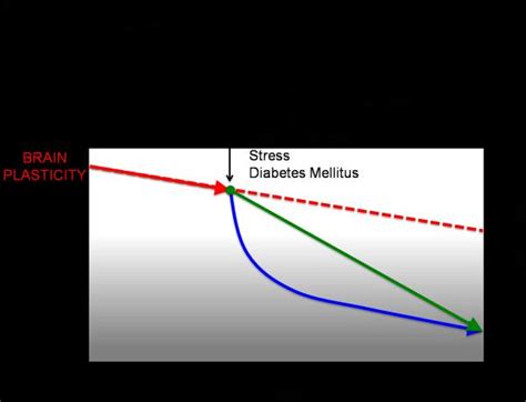 Changes In Plasticity Across The Lifespan Cause Of Disease And Target