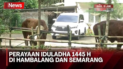 Iduladha 2024 Prabowo Kurban 38 Ekor Sapi Di Hambalang INews Today