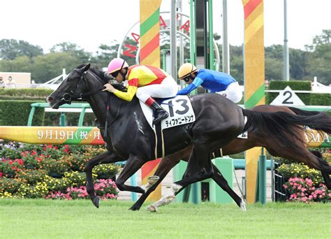 ティファニードンナ追い比べ制し初陣v ルメール騎手「2000メートルでも問題ない」／新馬戦 2歳馬特集 競馬写真ニュース 日刊スポーツ