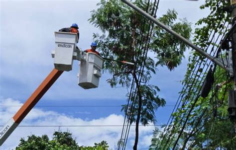 Poda e arborização para poda de árvores próximo a rede elétrica entre