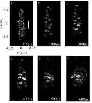 1. High-speed images showing the dynamics of cavitation bubbles ...