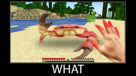 Minecraft wait what meme part 287 realistic minecraft Crab - YouTube