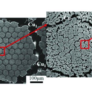 Sem Micrograph Showing The Multi Scale Microstructure Of N Cu Nb