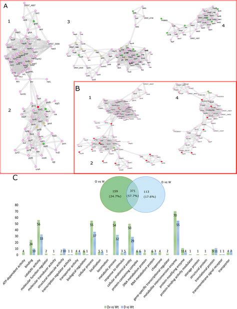 Fap Influence Protein Interaction Network And GO Classification Of