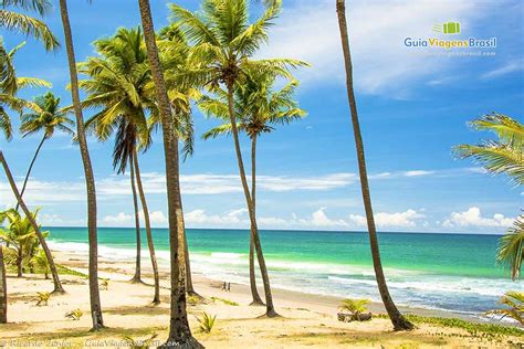 Fotos Da Praia De Arembepe Veja As Melhores Imagens