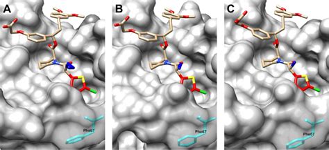 Comparison Of The Cocrystal Structures Of Compounds S 13a−c A The