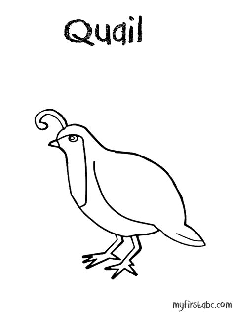 Quail Coloring Pages Coloring Home