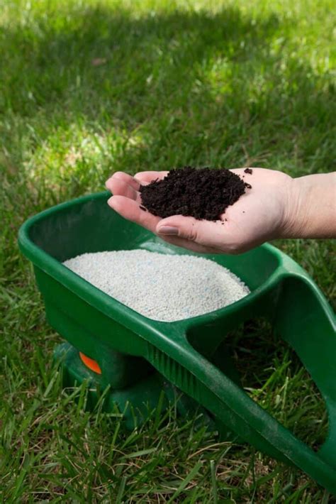 When To Fertilize New Grass 3 Tips For Success