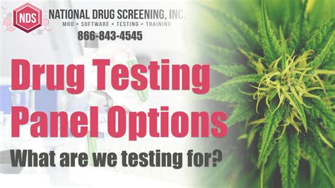 Drug Testing Panels Offered By National Drug Screening