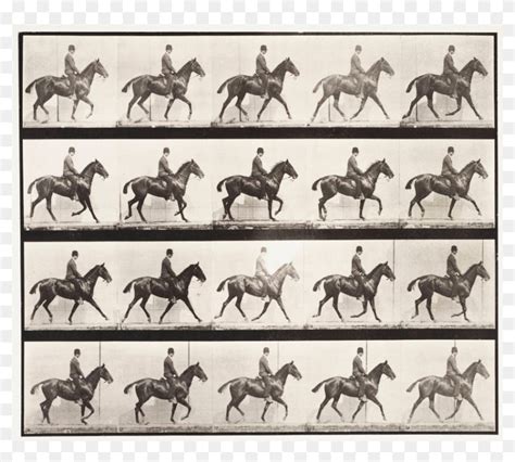 History Of Horse Racing, HD Png Download - 1903x802 (#3656584) - PinPng