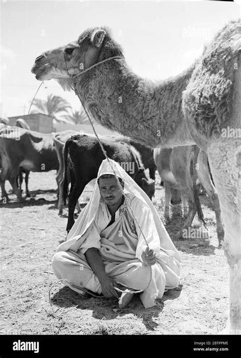 1930s Libyan Hi Res Stock Photography And Images Alamy