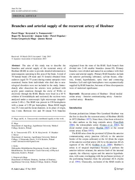 (PDF) Branches and arterial supply of the recurrent artery of Heubner ...