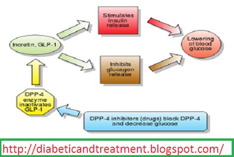 slsi.lk - how long for sulfatrim to work | Sitagliptin and metformin ...