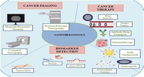 Full Article Nanoscience An Overview About Nanotheranostics For