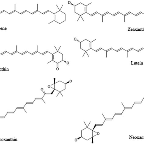 Chemical Structure Of Carotenoids Carotenes β Carotene And