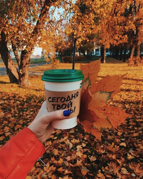 Someone Holding Up A Coffee Cup In The Leaves