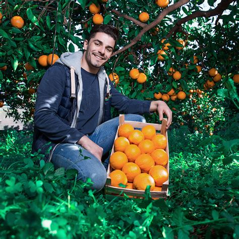 Lo Scorbuto E La Vitamina C