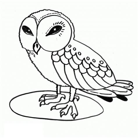 Owl Coloring Pages Printable Modern Creative Ideas Hot Sex Picture