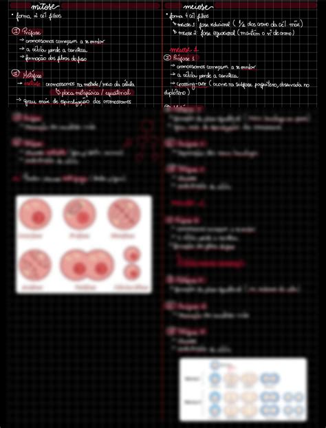 SOLUTION Mitose E Meiose Studypool