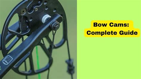 The Ultimate Guide to Compound Bow Cams! - Binoculars Guru