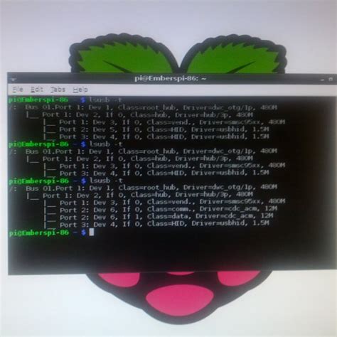 Raspberry Pi