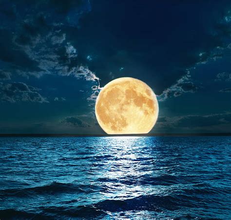 Best Moon Light Stock Photos Pictures And Royalty Free Images Istock