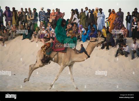 Camel Racing At The Festival In The Desert Essakane Near Timbuktu