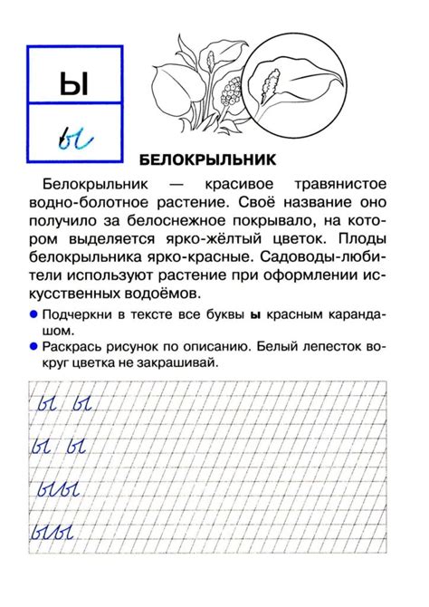 Учим букву Ы, прописи и задания с буквой Ы