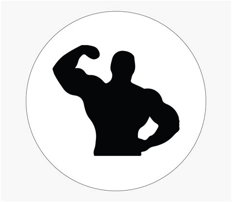 muscle silhouette png muscle silhouette png  vector images