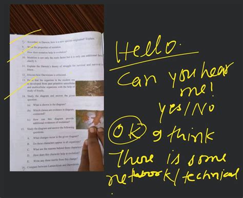 according to darwin how are new species created