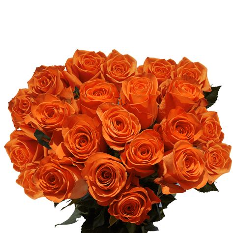 2 Dozen Of Orange Roses Fresh Flowers Delivery Globalrose