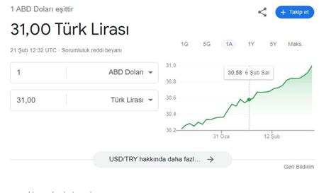 Dolar 31 lirayı gördü Tarihi rekor