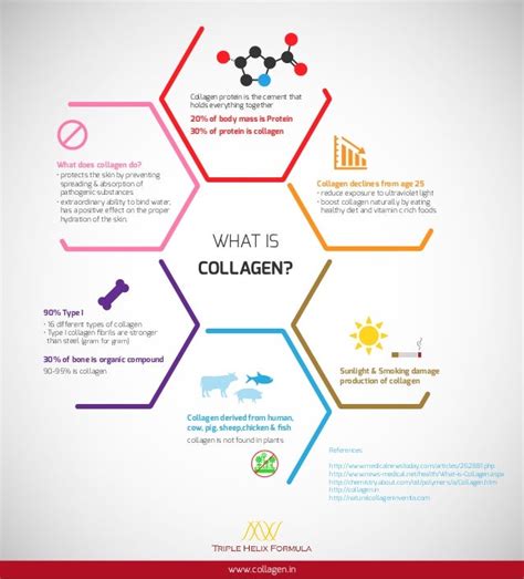 Infographic What Is Collagen