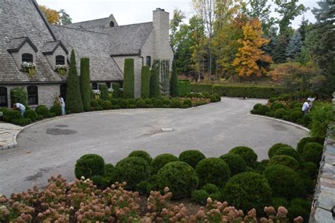 Landscaping Boxwood Shrubs — Randolph Indoor and Outdoor Design