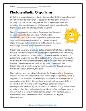 Free Printable Photosynthesis Worksheet Collection