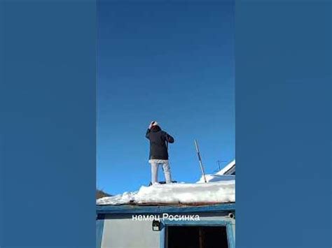на даче. #камчатка #немецкаяовчарка #собаки - YouTube