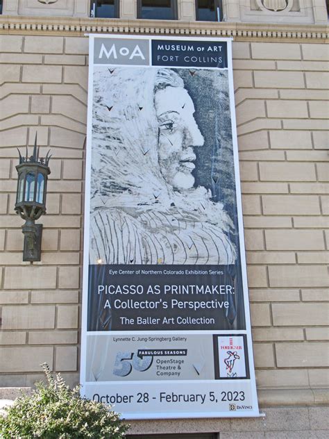 Recommended: Picasso in Fort Collins