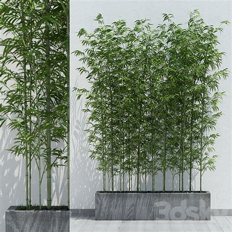 [3dsky] Bamboo 2 3d Model New Update 2023