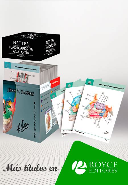 Netter Flashcards de Anatomía 4ª Edición Más Libros Tu Tienda Online