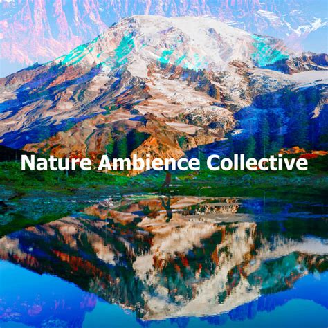 Nature Ambience Collective Album By Relaxing Nature Ambience Spotify