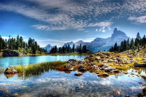 Fotos gratis paisaje árbol naturaleza rock desierto nieve