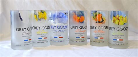 4 Grey Goose Tumbler Drinking Glasses Etsy