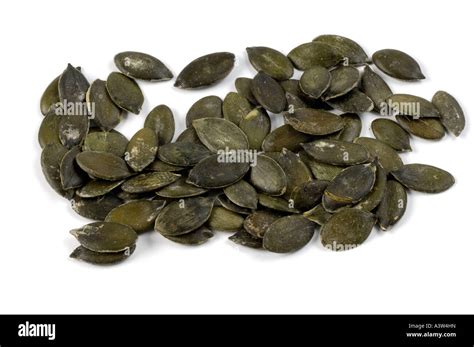 Pumpkin Seed Stock Photo Alamy