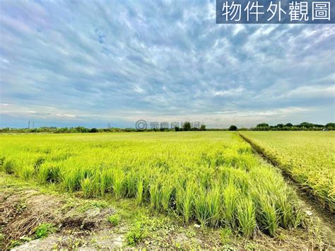 後壁新港東雙面臨路大面寬農地 台南市後壁區新港東段新港東小段房屋 Yc0232850 永慶不動產