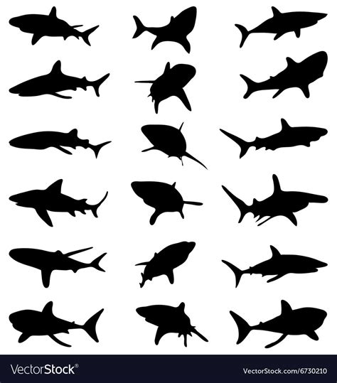 Sharks Royalty Free Vector Image VectorStock