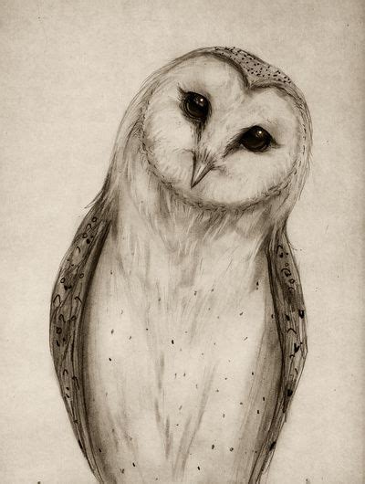 Barn Owl Sketch Art Print By Isaiah K Stephens Society6 Owls