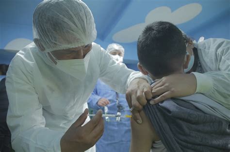 Ministerio De Salud Y Deportes De Bolivia Gobierno Asegura