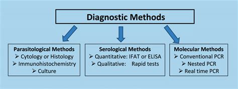 Parasitological Serological And Molecular Techniques For The Diagnosis