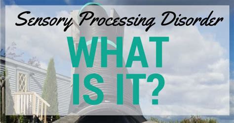 Sensory Processing Disorder What Is It Mommy Evolution