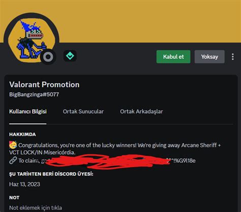 Görseldeki Discord hesabı dolandırıcı mı Technopat Sosyal